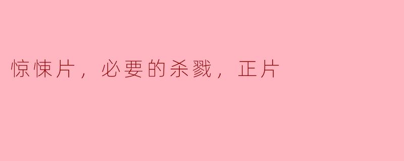 惊悚片，必要的杀戮，正片