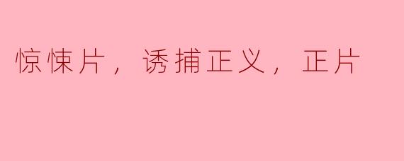 惊悚片，诱捕正义，正片