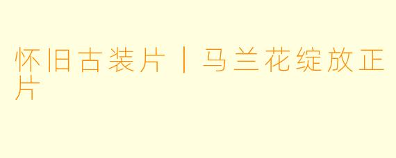 怀旧古装片｜马兰花绽放正片