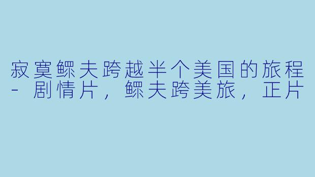 寂寞鳏夫跨越半个美国的旅程-剧情片，鳏夫跨美旅，正片
