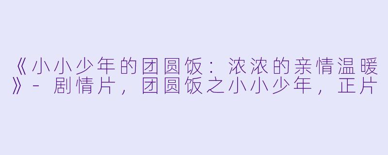 《小小少年的团圆饭：浓浓的亲情温暖》-剧情片，团圆饭之小小少年，正片