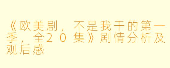 《欧美剧，不是我干的第一季，全20集》剧情分析及观后感