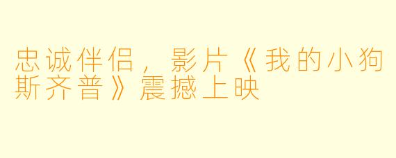 忠诚伴侣，影片《我的小狗斯齐普》震撼上映
