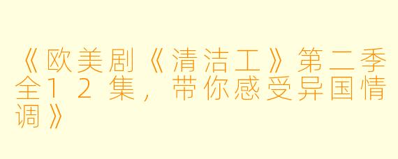 《欧美剧《清洁工》第二季全12集，带你感受异国情调》