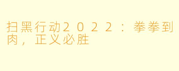 扫黑行动2022：拳拳到肉，正义必胜