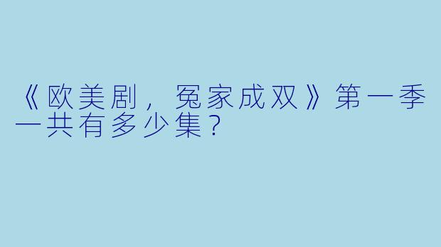 《欧美剧，冤家成双》第一季一共有多少集？