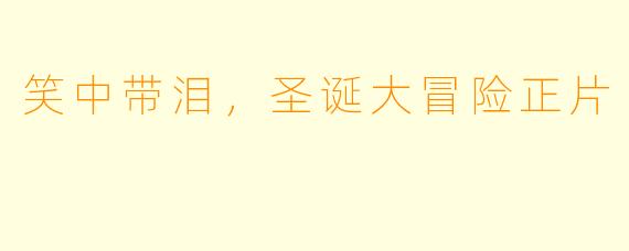 笑中带泪，圣诞大冒险正片