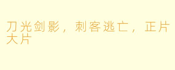 刀光剑影，刺客逃亡，正片大片