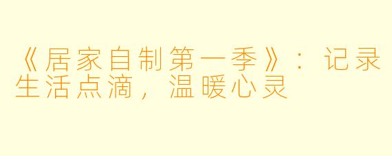 《居家自制第一季》：记录生活点滴，温暖心灵
