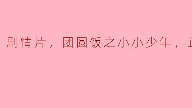 剧情片，团圆饭之小小少年，正片