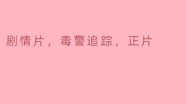 剧情片中常见的毒警追踪故事情节是怎样的？