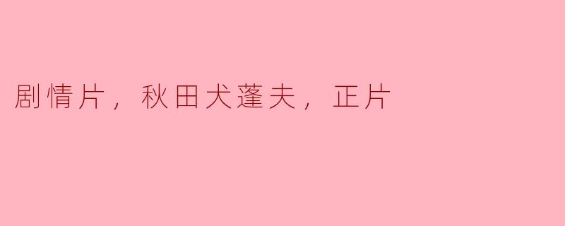 《忠诚勇敢的秋田犬蓬夫：感动心灵的正能量剧情片》