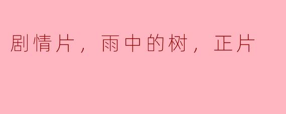 剧情片，雨中的树，正片