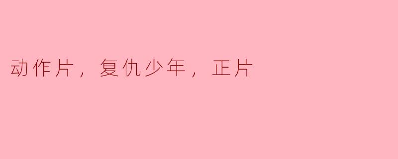 这部电影是一部正宗的动作片吗？
