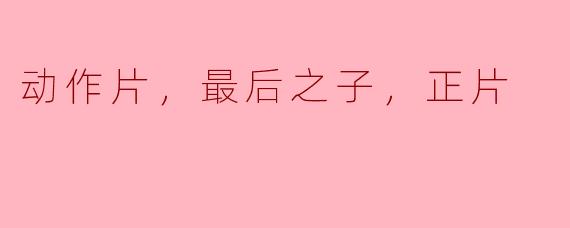 《动作片《最后之子》正片解析》