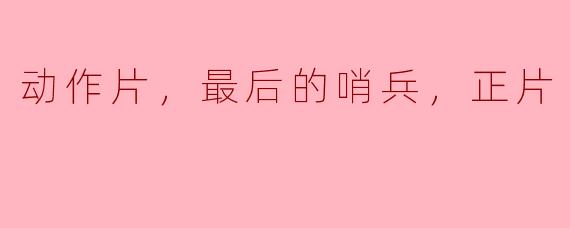 动作片，最后的哨兵，正片