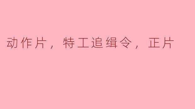 动作片《特工追缉令》：正片令人血脉贲张
