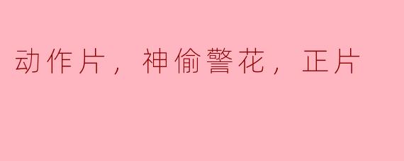 动作片，神偷警花，正片