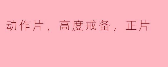 动作片，高度戒备，正片