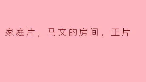 家庭片中的马文之房