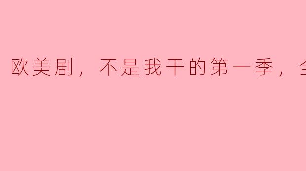欧美剧，不是我干的第一季，全20集