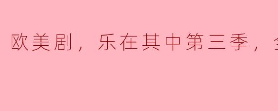 欧美剧，乐在其中第三季，全20集