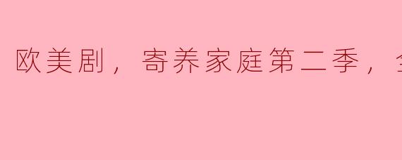 欧美剧《寄养家庭》第二季一共有多少集？