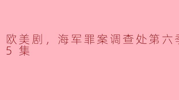 欧美剧，海军罪案调查处第六季，全25集