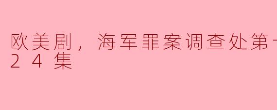 欧美剧，海军罪案调查处第十三季，全24集