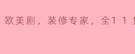 欧美剧，装修专家，全11集