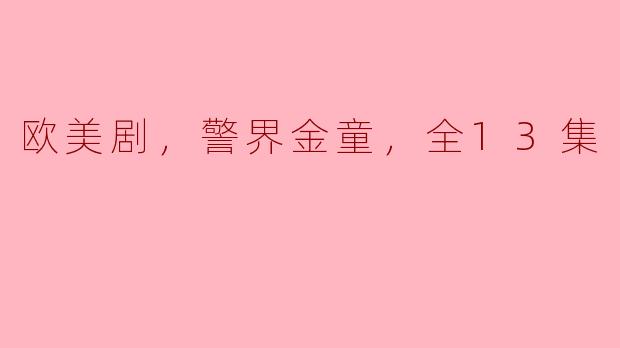 欧美剧，警界金童，全13集