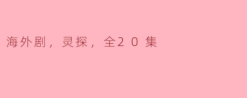 海外剧，灵探，全20集