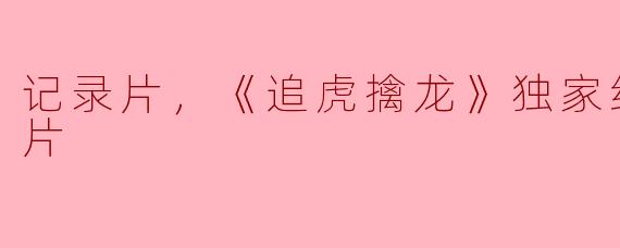 记录片，《追虎擒龙》独家纪录片，正片