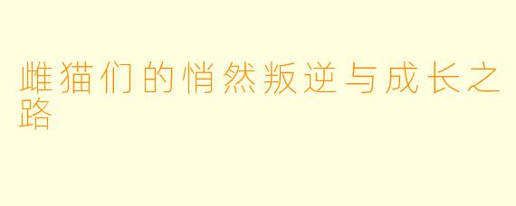 雌猫们的悄然叛逆与成长之路