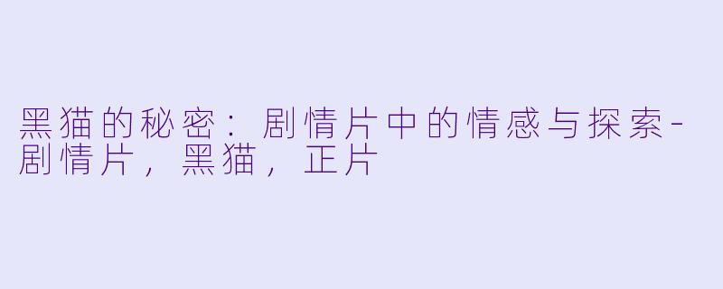 黑猫的秘密：剧情片中的情感与探索-剧情片，黑猫，正片