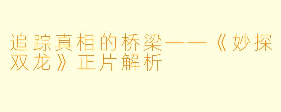 追踪真相的桥梁——《妙探双龙》正片解析