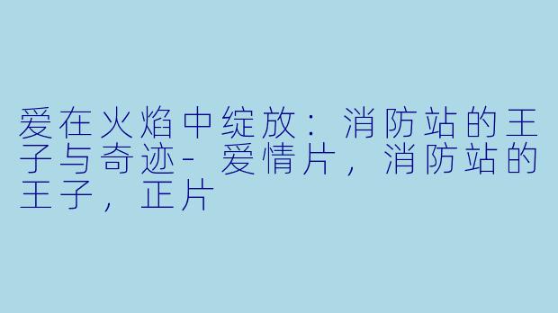 爱在火焰中绽放：消防站的王子与奇迹-爱情片，消防站的王子，正片