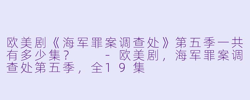 欧美剧《海军罪案调查处》第五季一共有多少集？  