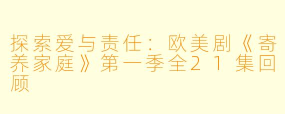 探索爱与责任：欧美剧《寄养家庭》第一季全21集回顾