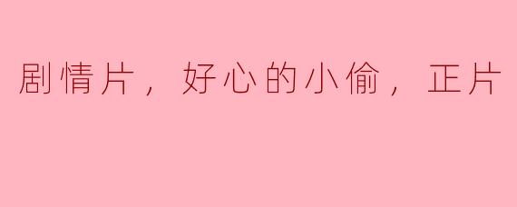 剧情片，好心的小偷，正片