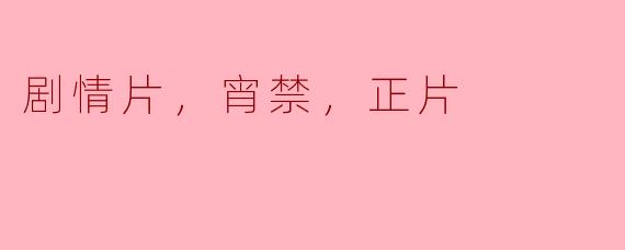 剧情片《宵禁》中主要探讨了哪些社会问题？