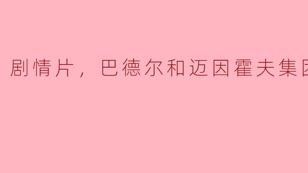 剧情片，巴德尔和迈因霍夫集团，正片