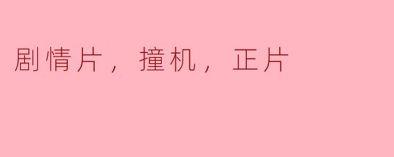 剧情片，撞机，正片