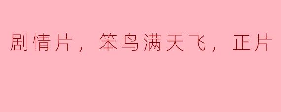 电影《笨鸟满天飞》主要讲述了什么样的故事？