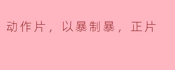 动作片，以暴制暴，正片