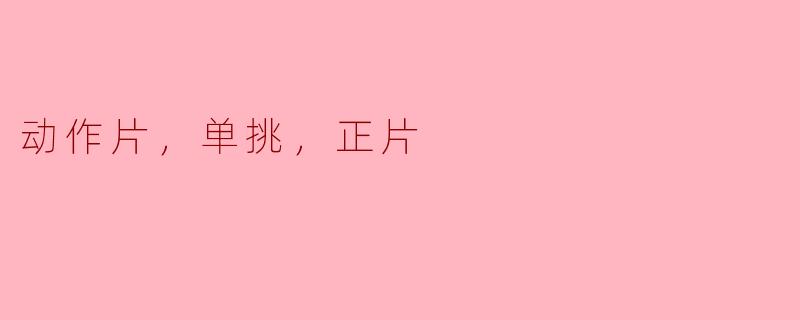 单挑的魅力：动作片中的正义与勇敢