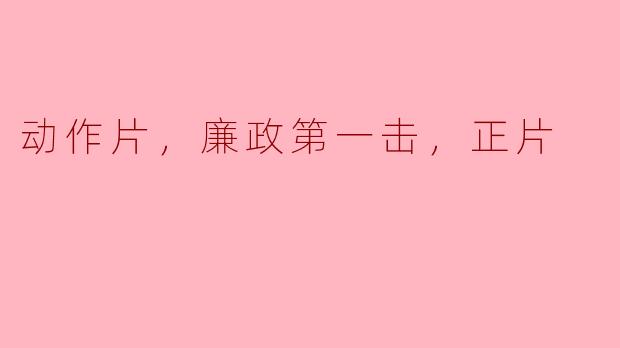 动作片，廉政第一击，正片