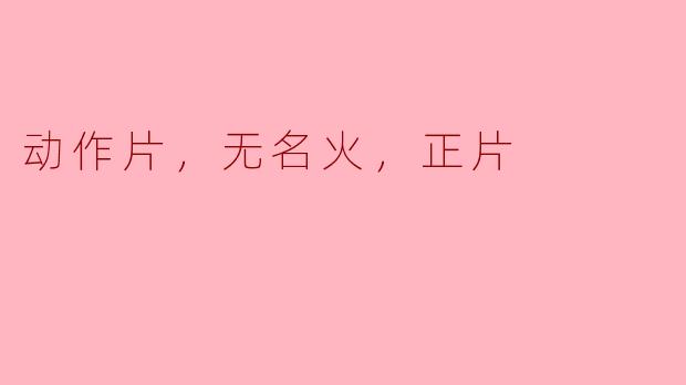 无名火：动作片中的英雄与斗争