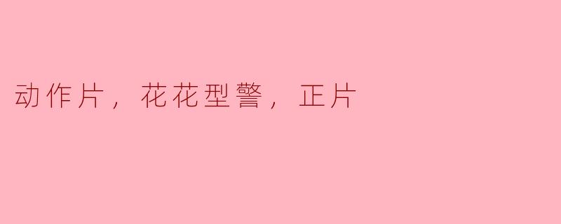 动作片，花花型警，正片