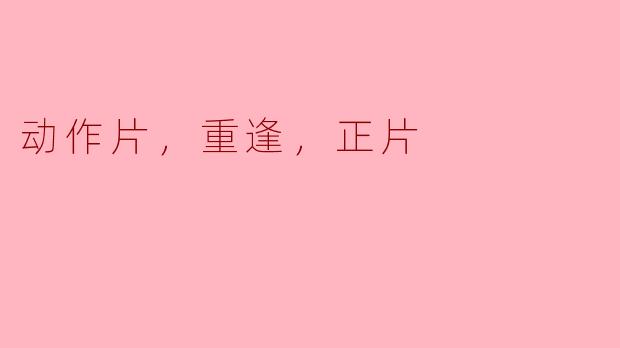 动作片，重逢，正片
